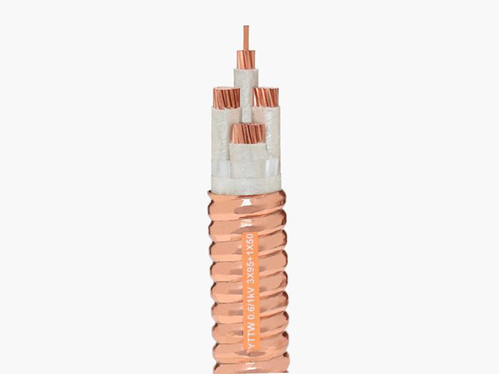 专业供应矿物质电缆
